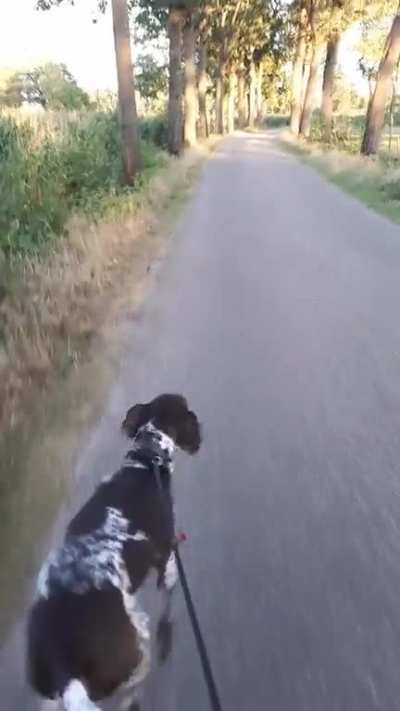 I am speed