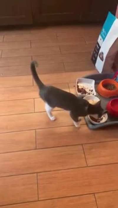 What&rsquo;s in that breakfast?