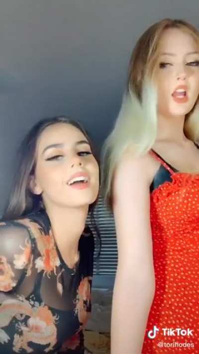 Torihodes