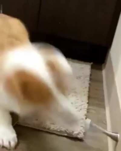 touch tha spring