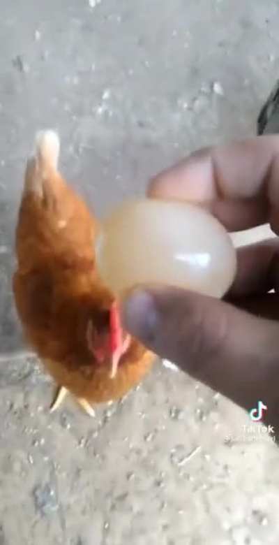 Somebody laid an egg without a shell