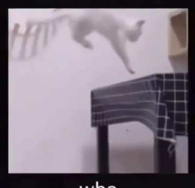 Double jump??!