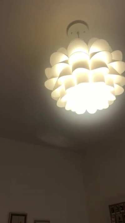 I&rsquo;ve been hearing knocking in the attic i used a ouija board my 1st yr of high school (5yrs ago). It&rsquo;s only heard in my room (where the board was used) despite the attic covering much of the house. We&rsquo;ve checked for critters and our attic is totally clear