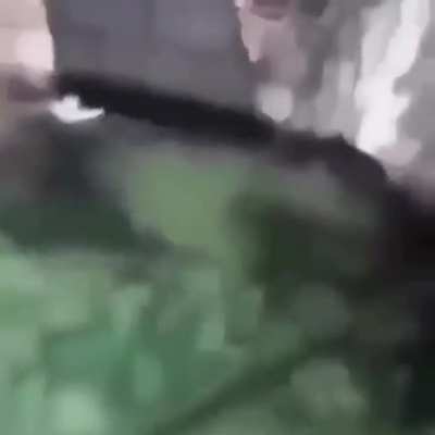 kkkkkkkk
