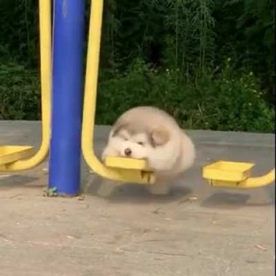 In the happy zone