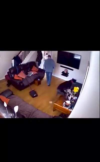Brooms are scary