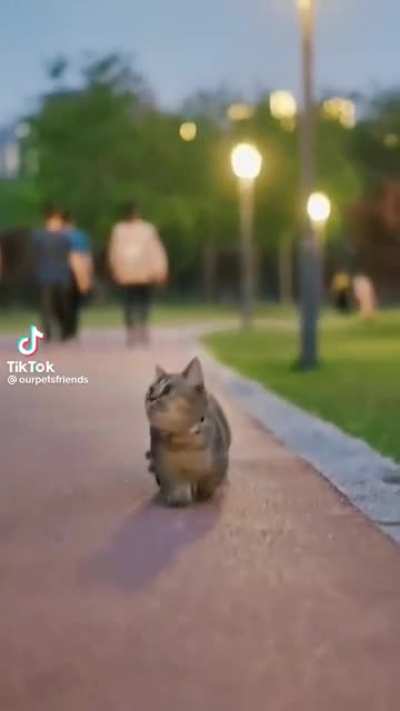 Big World 🥺