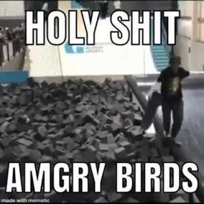 amgy brid