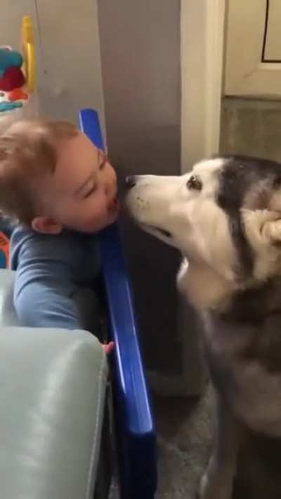 Que lindo cara
