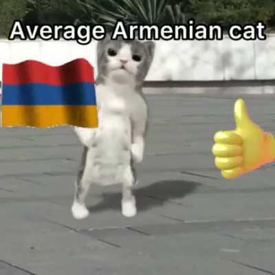 😂