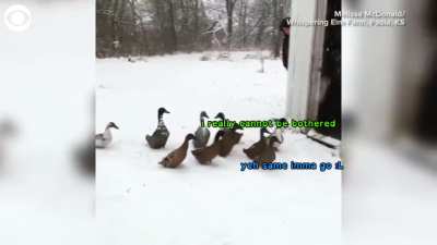 haha another multi lobby meme