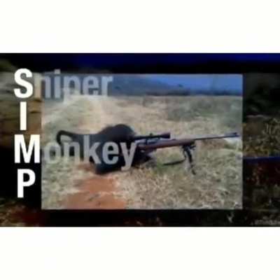 S. I. M. P.