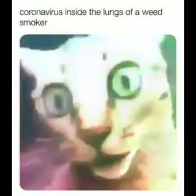 They trippin inside