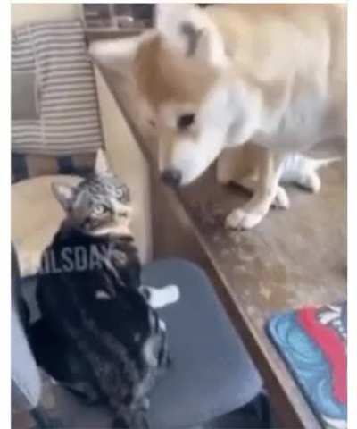 Oh shit.......😰