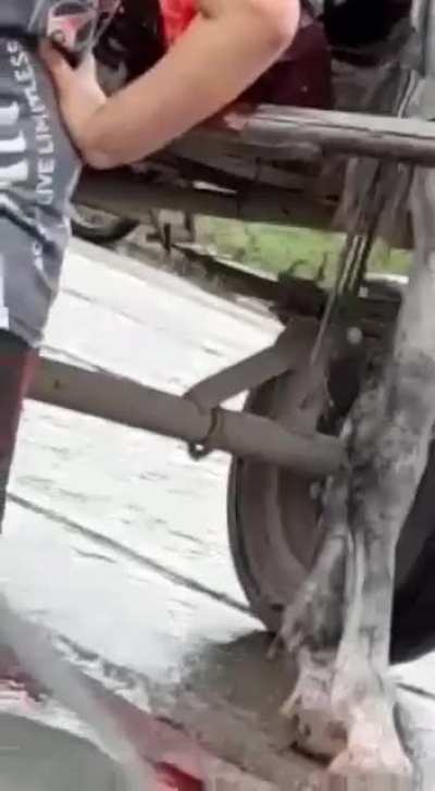 el chorro que iba en el carro y ecopetearon