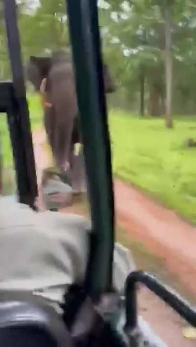 Hats Off to composure of the driver.