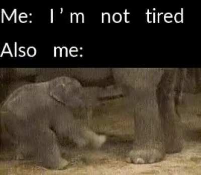 Ok, maybe just a little...