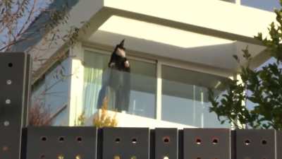 Shakira has reportedly put up a witch mannequin on her balcony facing her ex mother-in-law&rsquo;s house, with BZRP sessions playing in the background