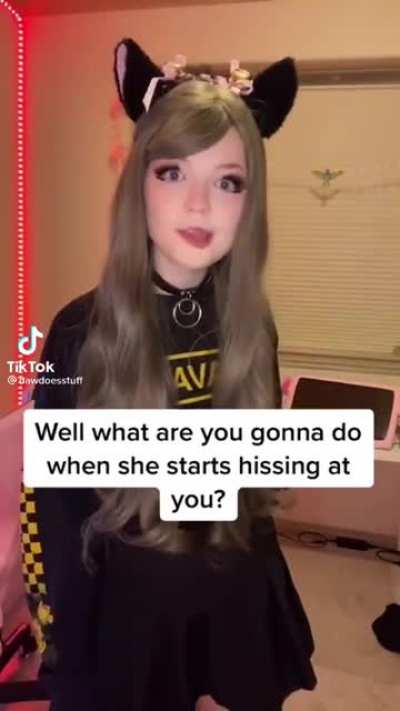 Easy solution