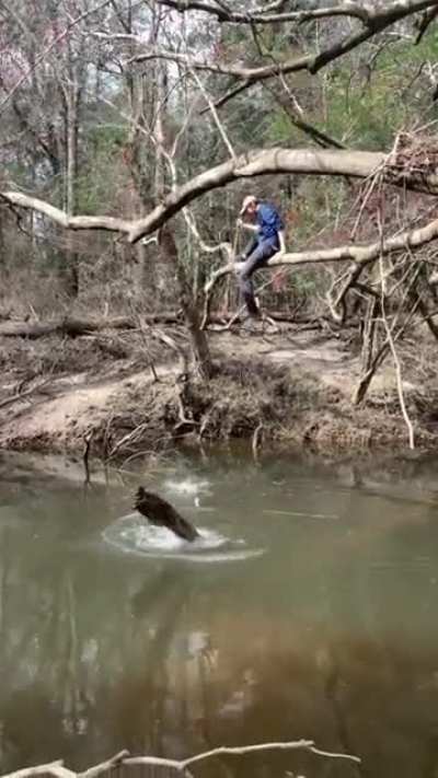 Quality stick dumpage