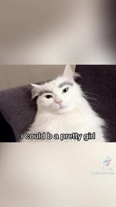 Cats are so cute