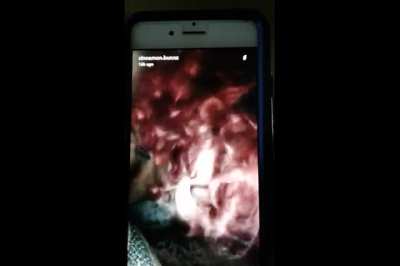 The Snapp