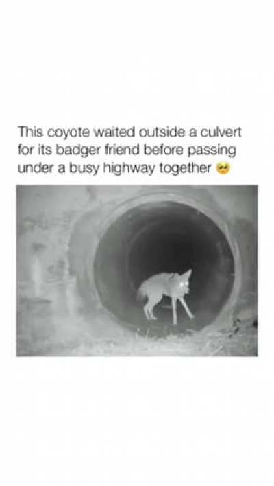 The most wholesome thing I&rsquo;ve seen all day. 🥰