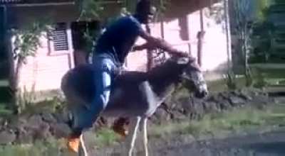 burro moto 😈😈