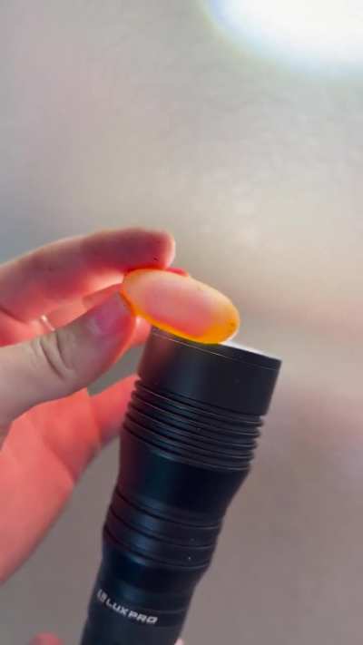 Parthogenesis egg!!  HELP!