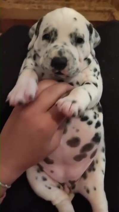 i want it so bad