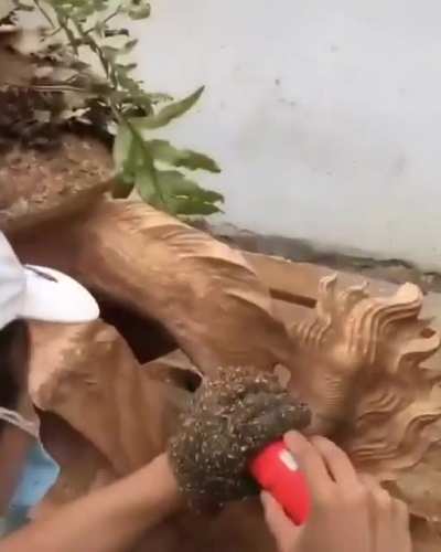 This incredible wood carving