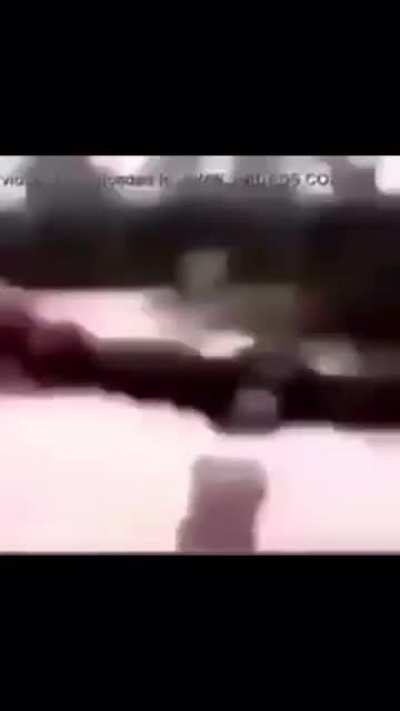 He do be spinning