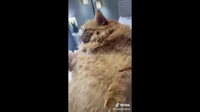 UNIT