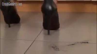 🦋👠