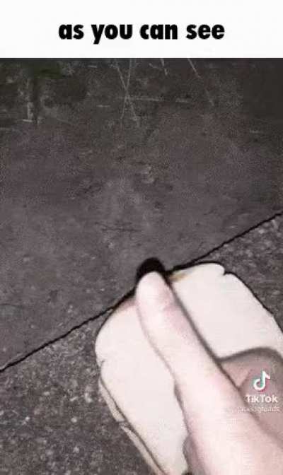 phroge