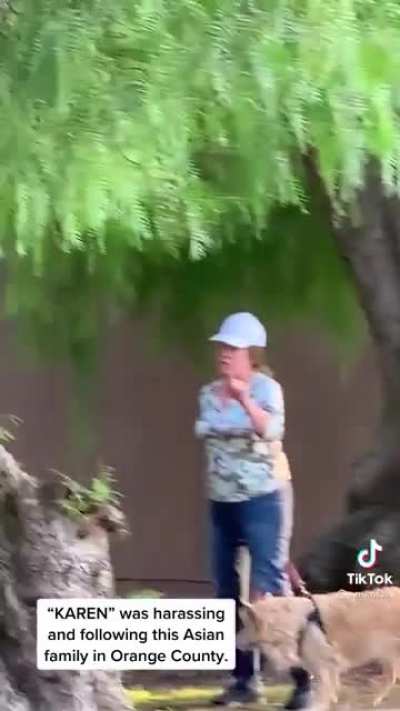 Karen harasses an Asian family at the park. OP speaks up the stop the harassment and also gives a shoutout to the subreddit