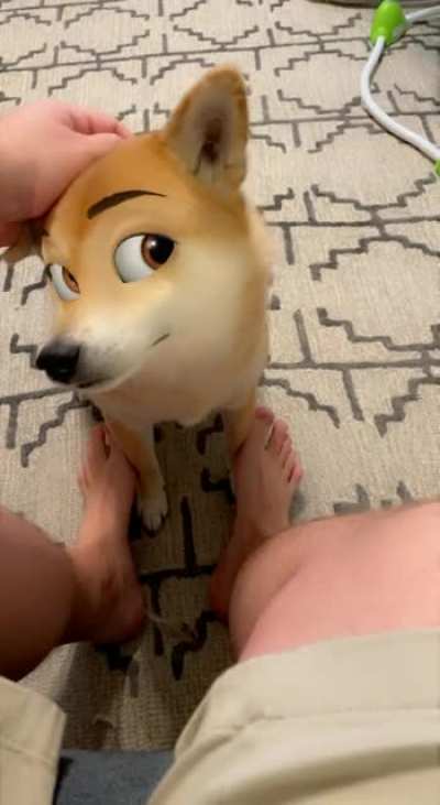 Disney dawg