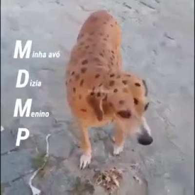 Simp