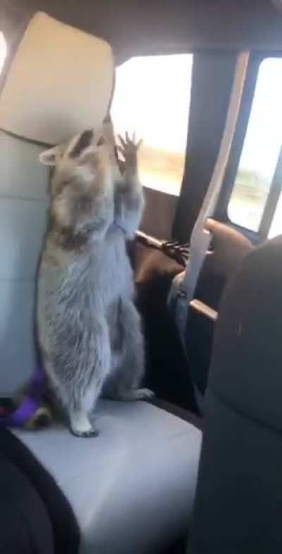 Trying so hard to catch the wind&hellip;