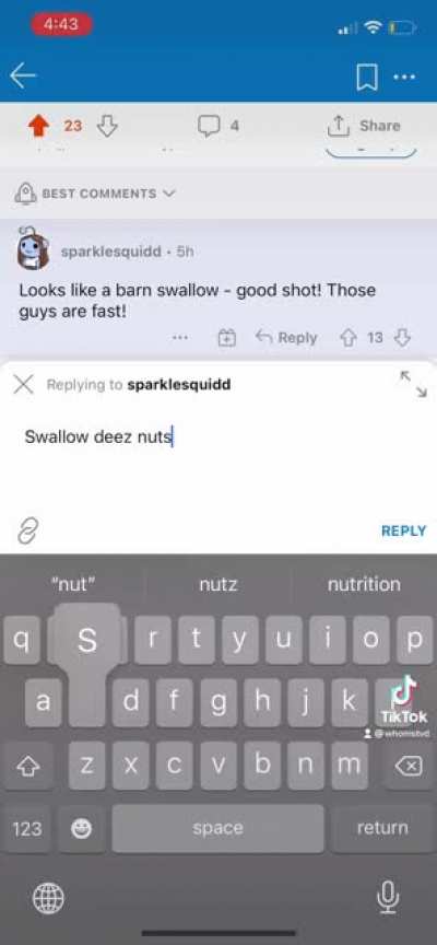 The poor fools on r/birdwatching had no clue what hit em