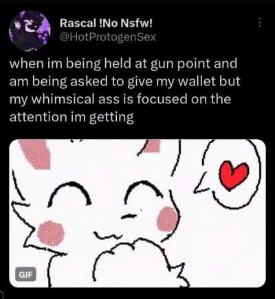 Losercity attention