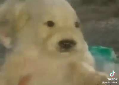 s...i