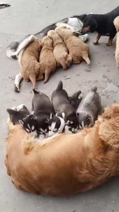 One big family