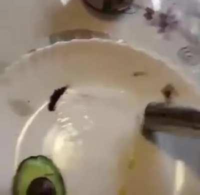 cursed_breakfast