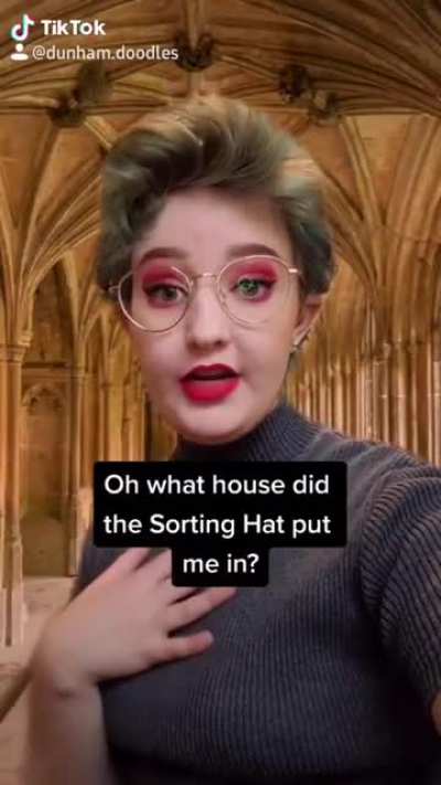I made my best jokes for a tik tok