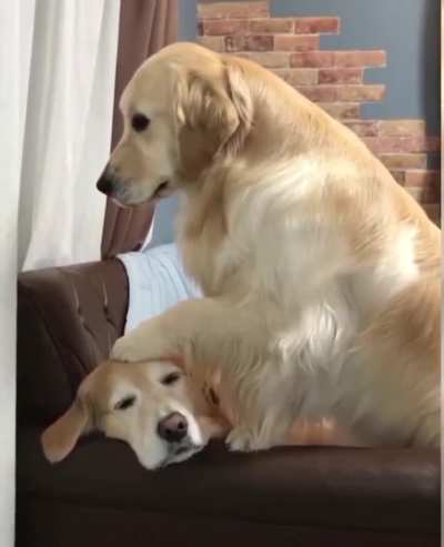 What you doing there Bud?
