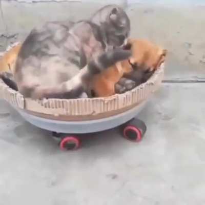 How to stay warm