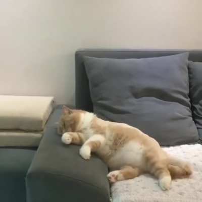 Riding a new bike while dreaming then crashing it