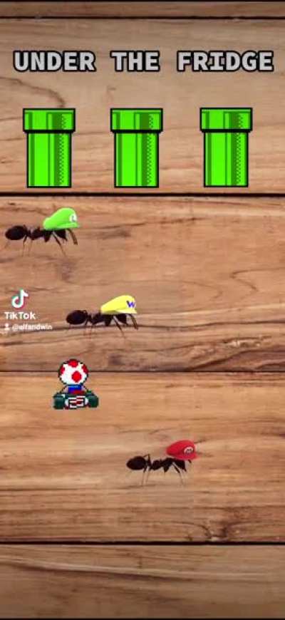 This is for anybody who has ever been screwed over by the Blue Shell in Mario Kart