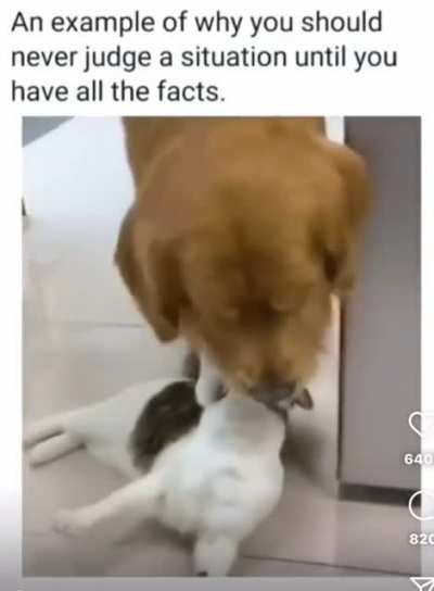 Fact check